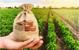 Agribusinesses Failure