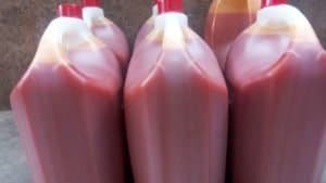 Palm oil Storage Business