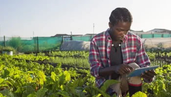 African Plant Nutrition Scholar