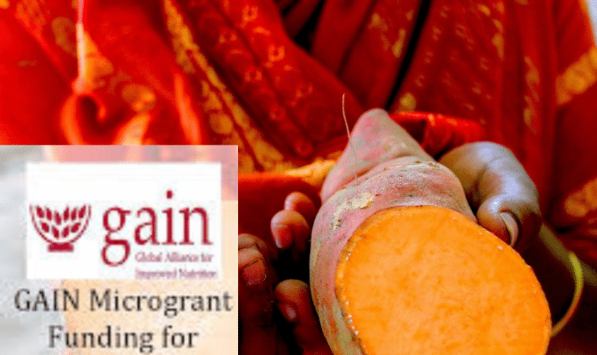 GAIN Microgrant