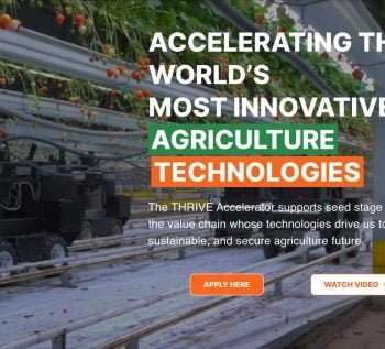 THRIVE Global Accelerator
