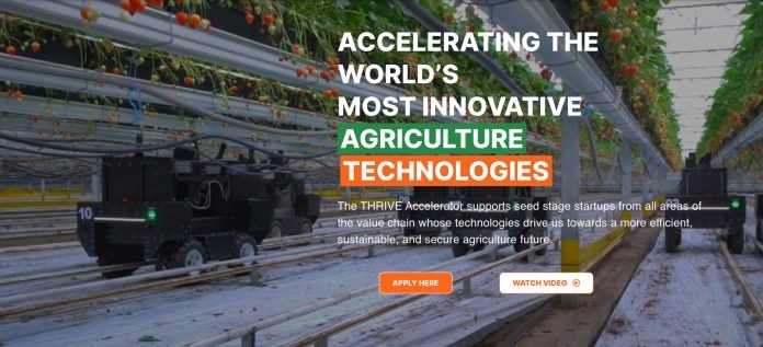 THRIVE Global Accelerator