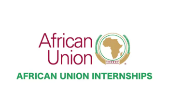 African Union Internship Program
