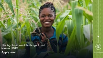 Mastercard Foundation Fund for Resilience and Prosperity