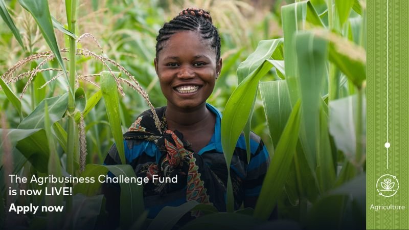 Mastercard Foundation Fund for Resilience and Prosperity