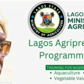 LAGOS AGRIPRENEURSHIP PROGRAMME