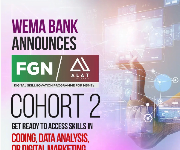 FGN-ALAT Digital Skillnovation Program