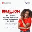 TEF Women Entrepreneurship For Africa