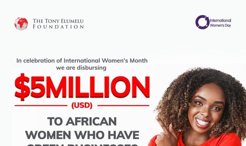 TEF Women Entrepreneurship For Africa