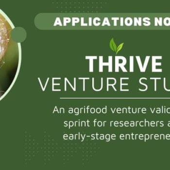 THRIVE Studio Sprint