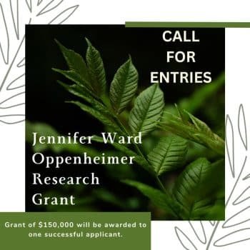 JWO Research Grant