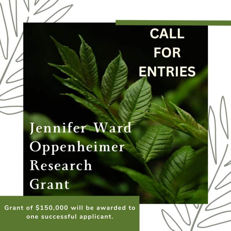 JWO Research Grant