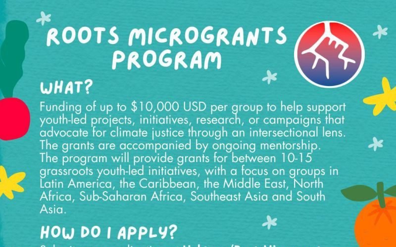 Roots Micro-grants