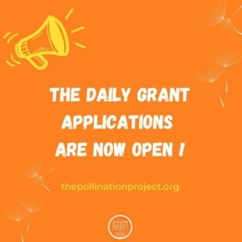Pollination Project’s Daily Grant