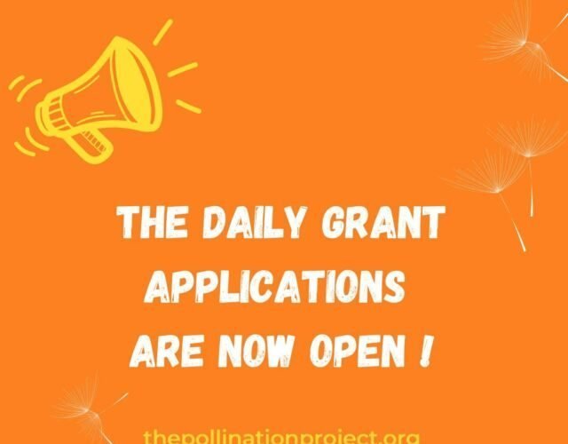 Pollination Project’s Daily Grant