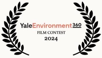 Yale Environment 360 Film