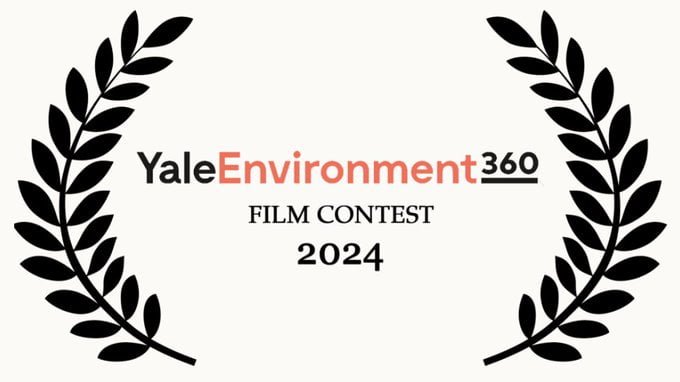 Yale Environment 360 Film
