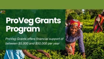 ProVeg Grants