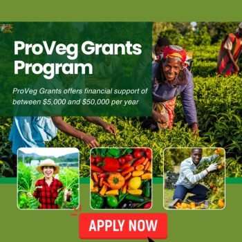 ProVeg Grants