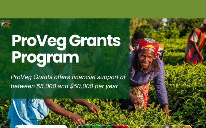 ProVeg Grants