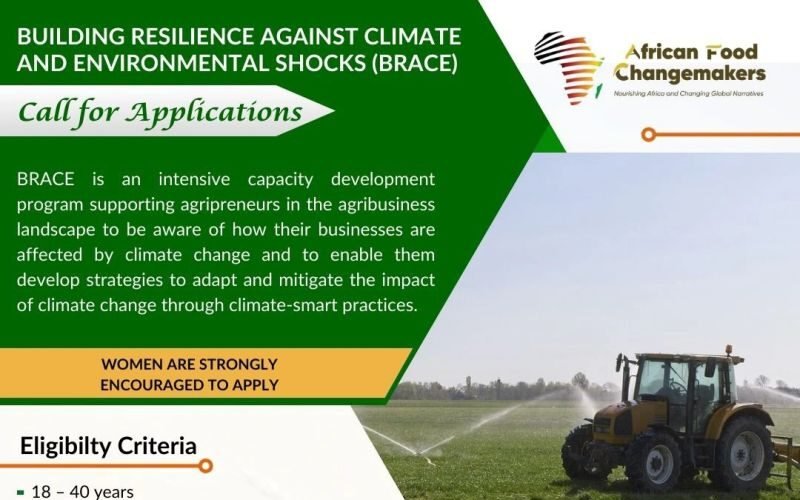 African Food Changemakers BRACE