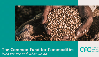 Common Fund for Commodities (CFC)