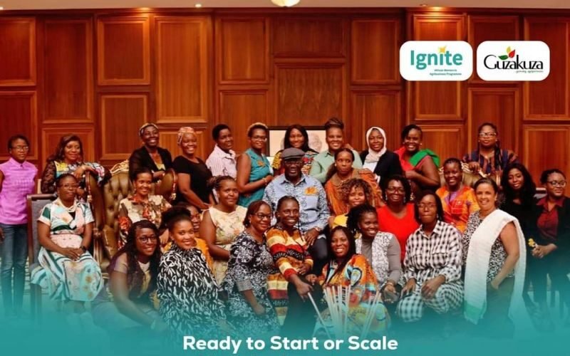 Ignite-African Women in Agribusiness Fellowship