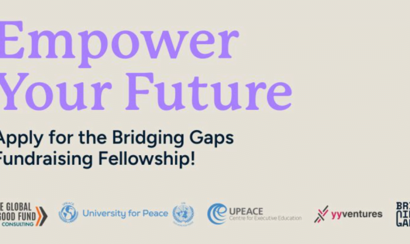 Bridging Gaps Fundraising Fellowship