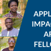 Impact West Africa Fellowship program
