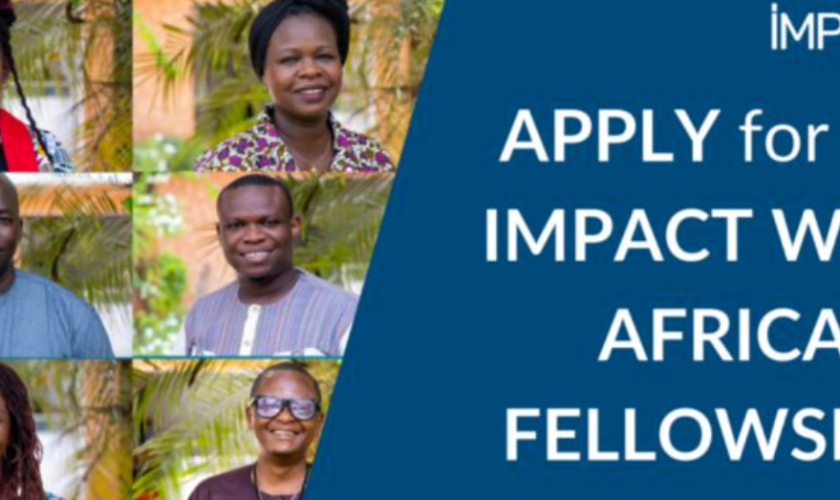Impact West Africa Fellowship program