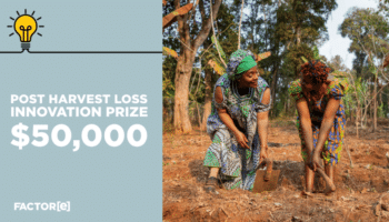 Post-Harvest Loss Innovation Prize