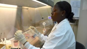 Medicines for Malaria Venture's