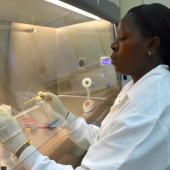 Medicines for Malaria Venture's