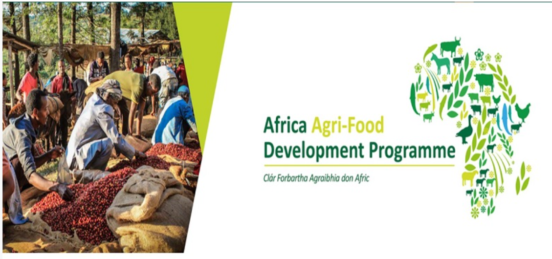 Africa Agri-Food Development Programme 2024 for Agri-Food Companies In ...