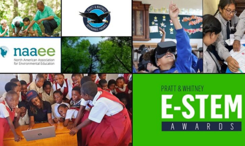 Global E-STEM Awards