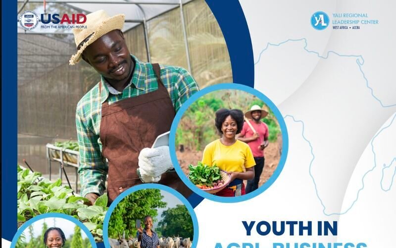 YALI RLC West Africa Emerging Leaders