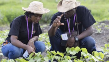 Accelerating African Women’s Leadership in Climate Action