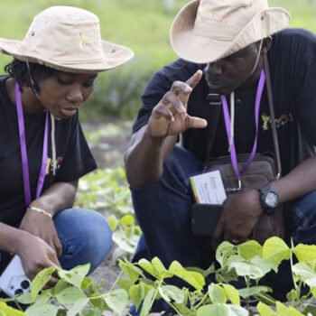 Accelerating African Women’s Leadership in Climate Action