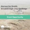 Harvest for Health Breakthrough Crop Challenge
