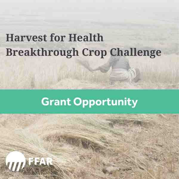 Harvest for Health Breakthrough Crop Challenge