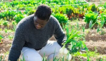 IFAD Grant Agri Connect