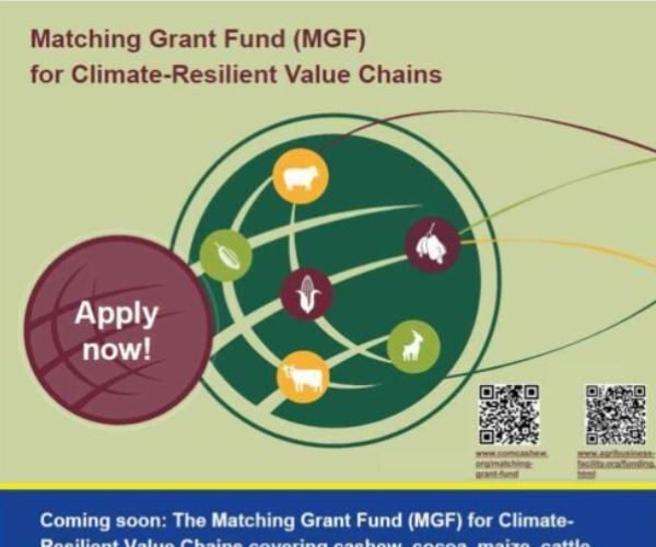 Matching Grant Fund