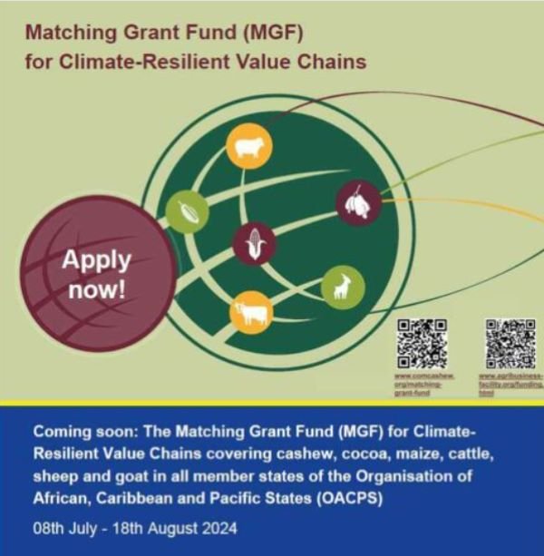 Matching Grant Fund