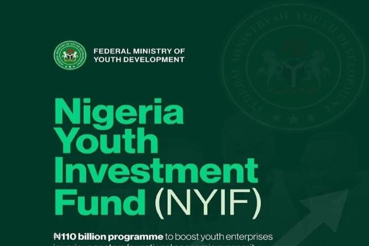 Nigeria Youth Investment Fund (NYIF)
