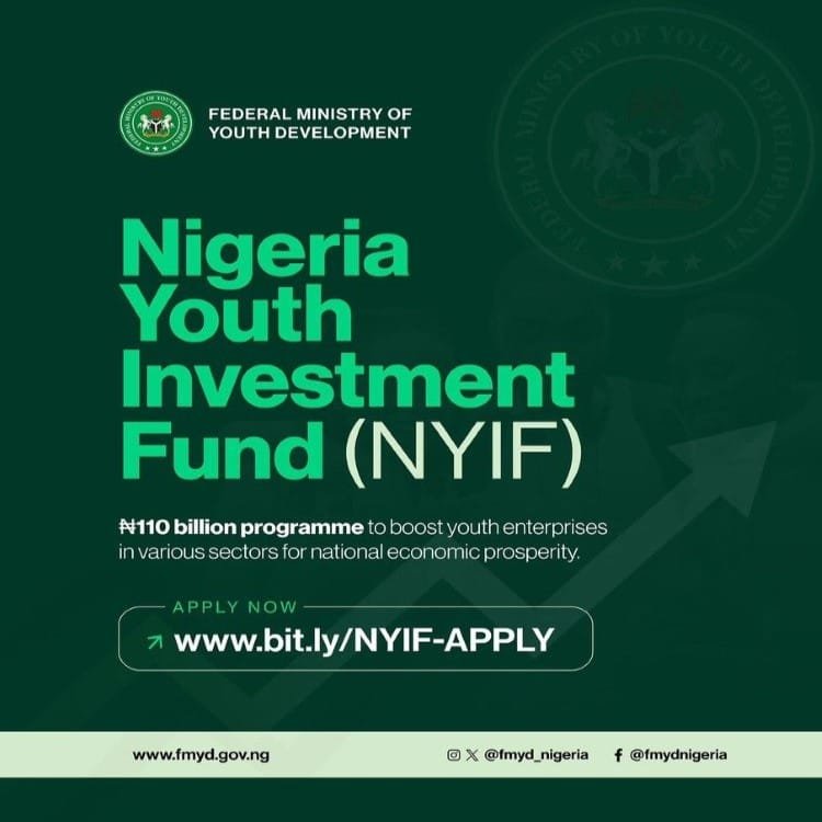Nigeria Youth Investment Fund (NYIF)