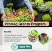 ProVeg Grants