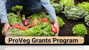 ProVeg Grants