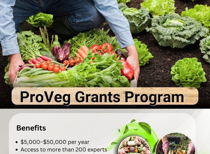 ProVeg Grants