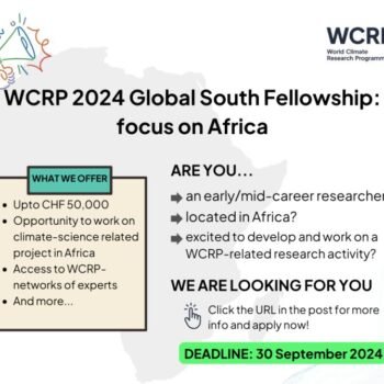 Global South Fellowship