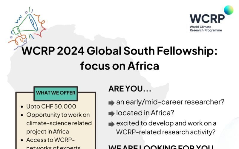 Global South Fellowship